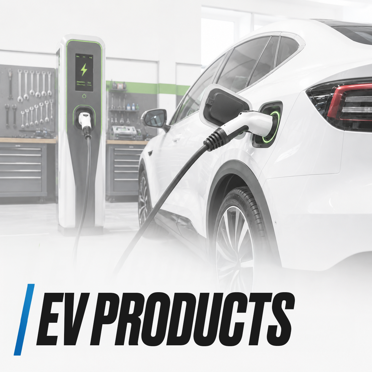 EV Products